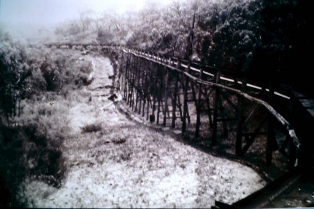 Trestles built to carry the fluming for Stawell's water supply from the Grampians.Engineer was Mr John D'Alton and the project was completed in 1881.